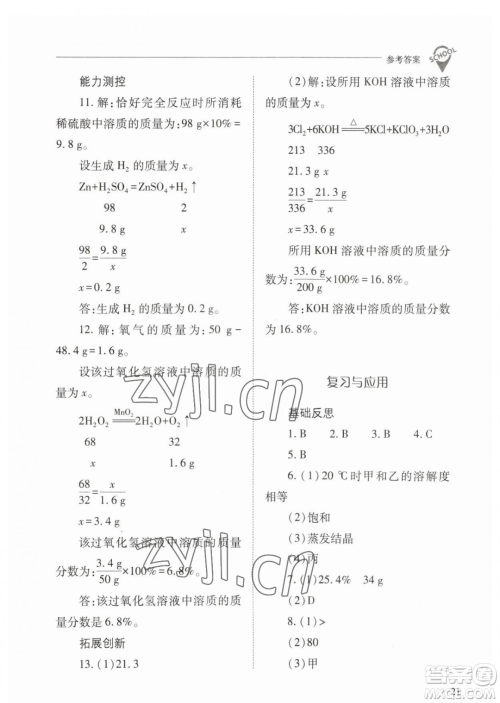 山西教育出版社2023新课程问题解决导学方案九年级下册化学人教版参考答案