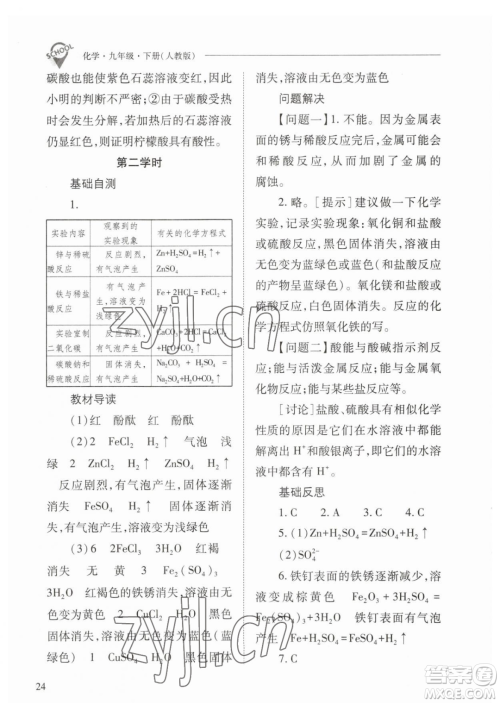 山西教育出版社2023新课程问题解决导学方案九年级下册化学人教版参考答案