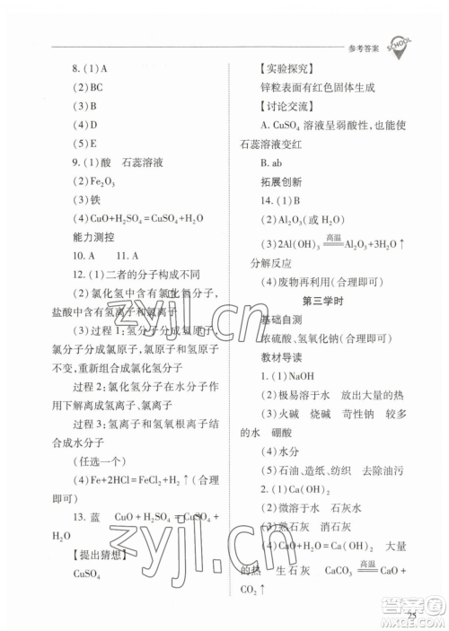 山西教育出版社2023新课程问题解决导学方案九年级下册化学人教版参考答案