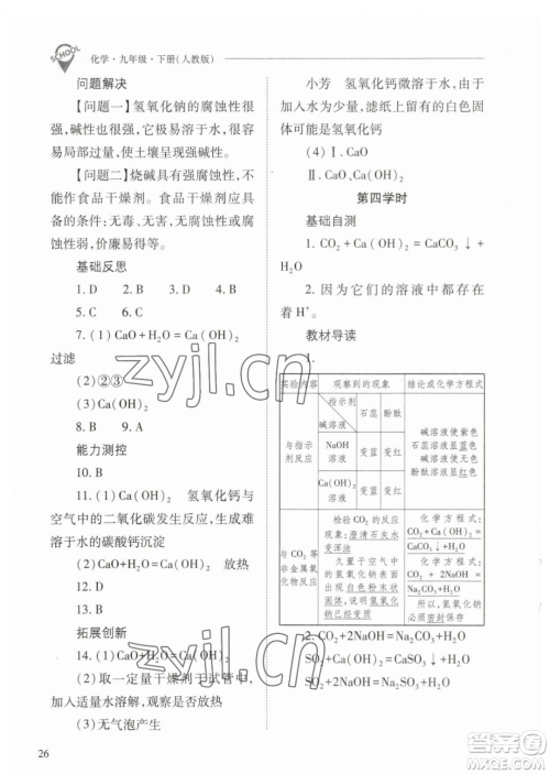 山西教育出版社2023新课程问题解决导学方案九年级下册化学人教版参考答案