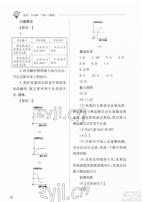 山西教育出版社2023新课程问题解决导学方案九年级下册化学人教版参考答案