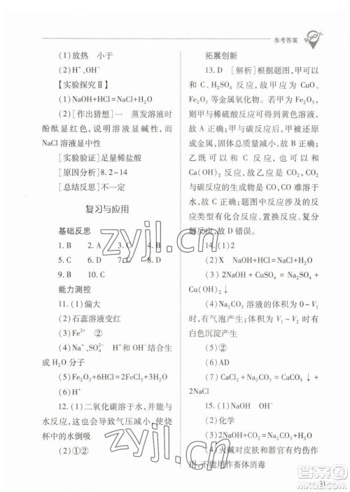 山西教育出版社2023新课程问题解决导学方案九年级下册化学人教版参考答案