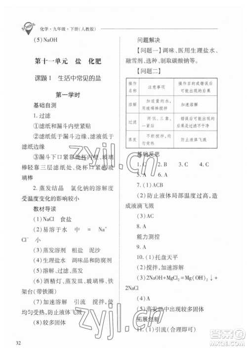 山西教育出版社2023新课程问题解决导学方案九年级下册化学人教版参考答案