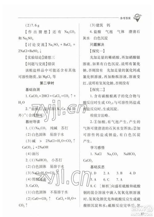 山西教育出版社2023新课程问题解决导学方案九年级下册化学人教版参考答案