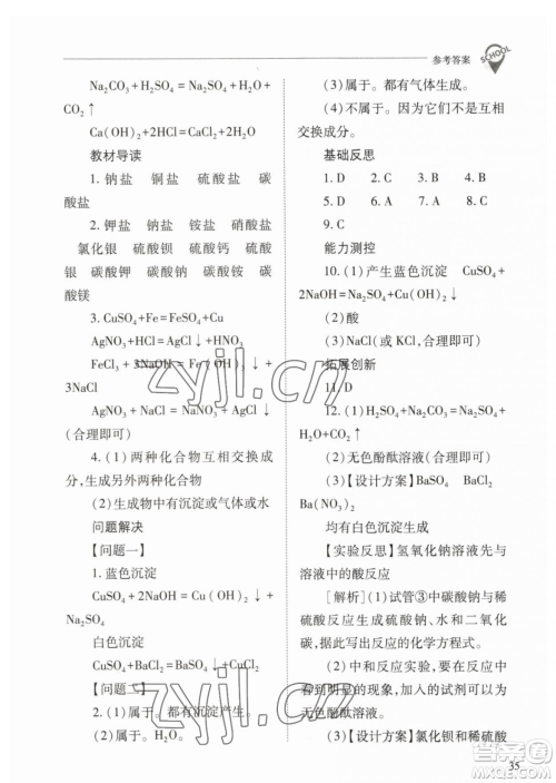 山西教育出版社2023新课程问题解决导学方案九年级下册化学人教版参考答案