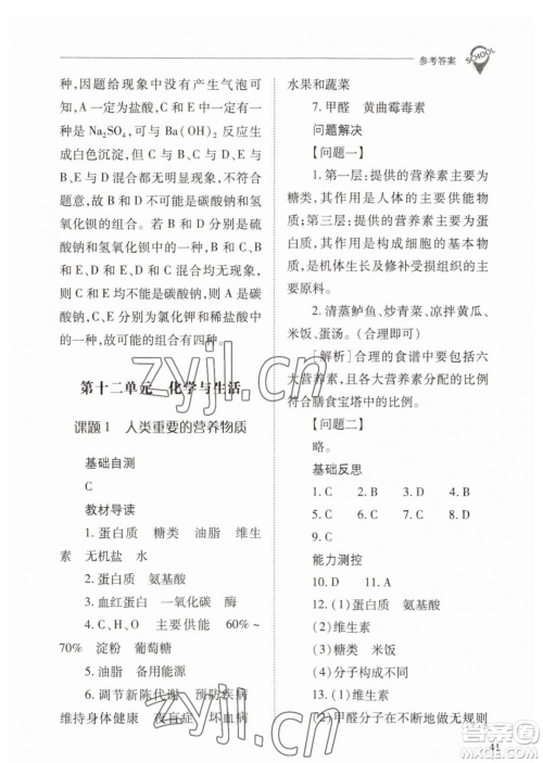山西教育出版社2023新课程问题解决导学方案九年级下册化学人教版参考答案