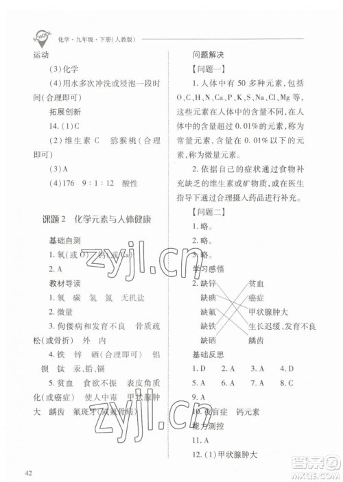 山西教育出版社2023新课程问题解决导学方案九年级下册化学人教版参考答案