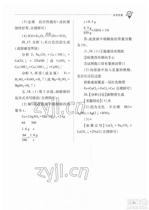 山西教育出版社2023新课程问题解决导学方案九年级下册化学人教版参考答案