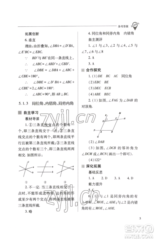 山西教育出版社2023新课程问题解决导学方案七年级下册数学人教版参考答案