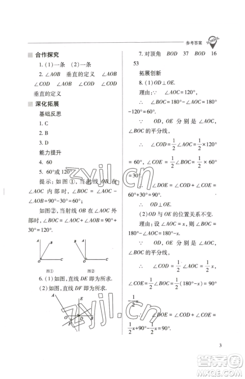 山西教育出版社2023新课程问题解决导学方案七年级下册数学人教版参考答案