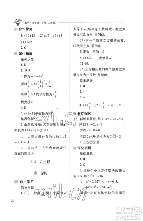 山西教育出版社2023新课程问题解决导学方案七年级下册数学人教版参考答案