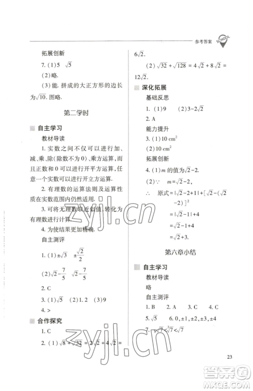 山西教育出版社2023新课程问题解决导学方案七年级下册数学人教版参考答案