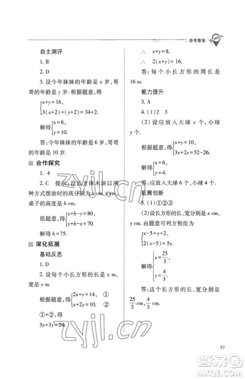 山西教育出版社2023新课程问题解决导学方案七年级下册数学人教版参考答案