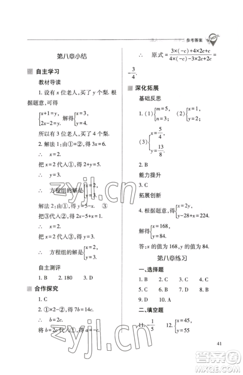 山西教育出版社2023新课程问题解决导学方案七年级下册数学人教版参考答案