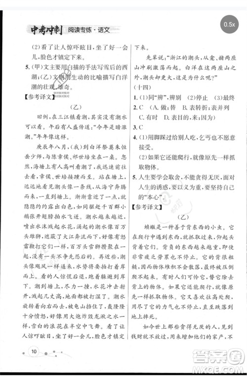 现代教育出版社2023大连中考冲刺专题复习九年级语文阅读专练通用版参考答案