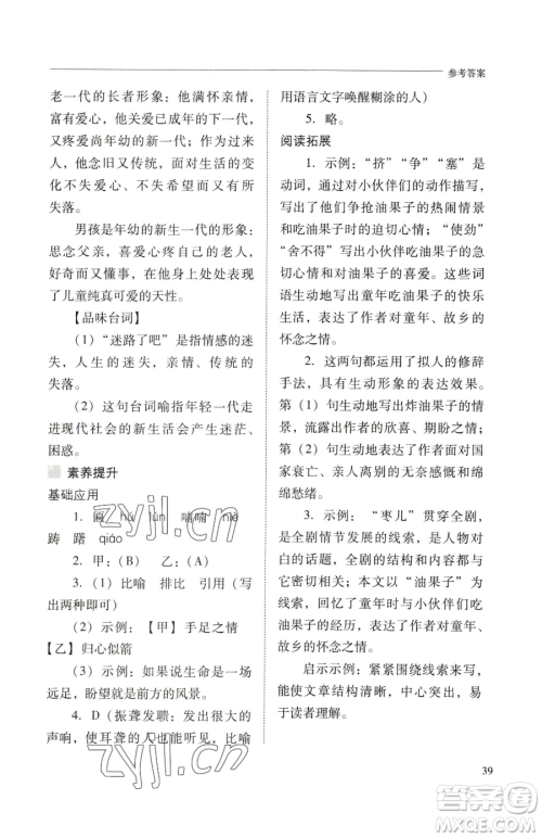 山西教育出版社2023新课程问题解决导学方案九年级下册语文人教版参考答案