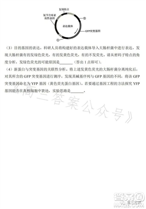 2023年高考全国乙卷理科综合生物试题答案 2023年高考全国乙卷理科综合生物试题答案