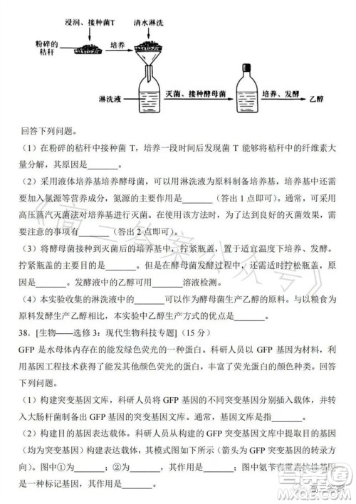 2023年高考全国乙卷理科综合生物试题答案