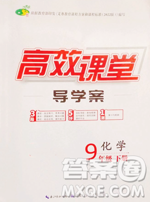 湖北科学技术出版社2023高效课堂导学案九年级下册化学人教版参考答案 湖北科学技术出版社2023高效课堂导学案九年级下册化学人教版参考答案