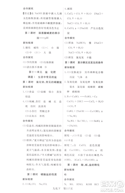 湖北科学技术出版社2023高效课堂导学案九年级下册化学人教版参考答案 湖北科学技术出版社2023高效课堂导学案九年级下册化学人教版参考答案