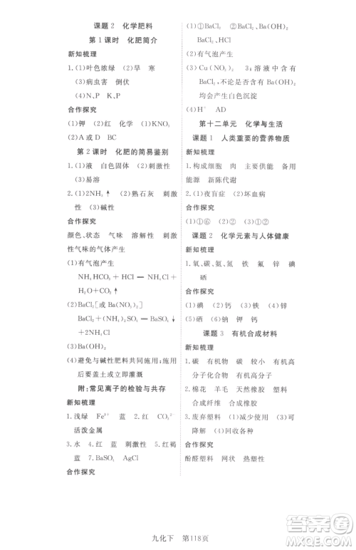 湖北科学技术出版社2023高效课堂导学案九年级下册化学人教版参考答案 湖北科学技术出版社2023高效课堂导学案九年级下册化学人教版参考答案
