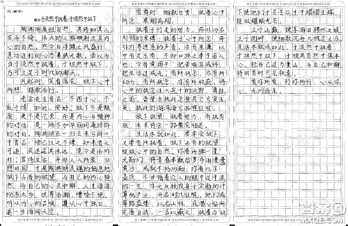 陶渊明质性自然材料作文800字 关于陶渊明质性自然的材料作文800字