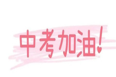 2023年哈尔滨道里区中考三模语文试卷答案