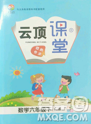 天津科学技术出版社2023云顶课堂六年级下册数学苏教版参考答案