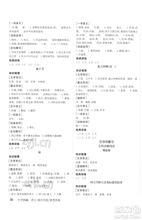 新疆青少年出版社2023升学锦囊九年级全一册语文泰安专版参考答案