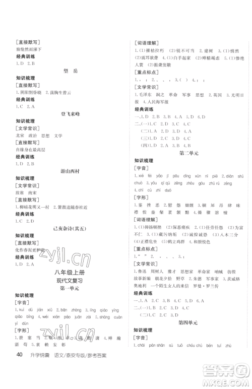 新疆青少年出版社2023升学锦囊九年级全一册语文泰安专版参考答案