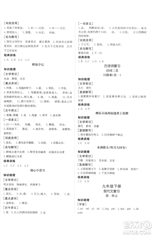 新疆青少年出版社2023升学锦囊九年级全一册语文泰安专版参考答案