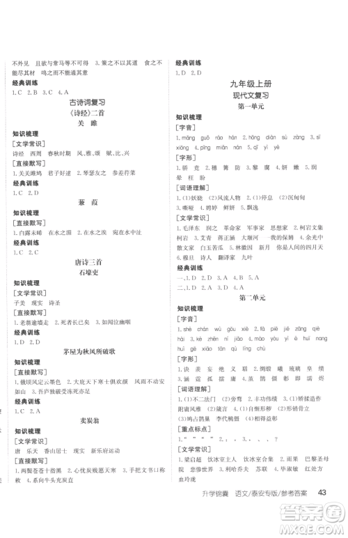 新疆青少年出版社2023升学锦囊九年级全一册语文泰安专版参考答案