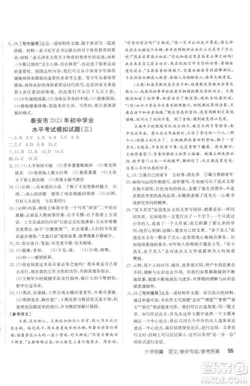 新疆青少年出版社2023升学锦囊九年级全一册语文泰安专版参考答案