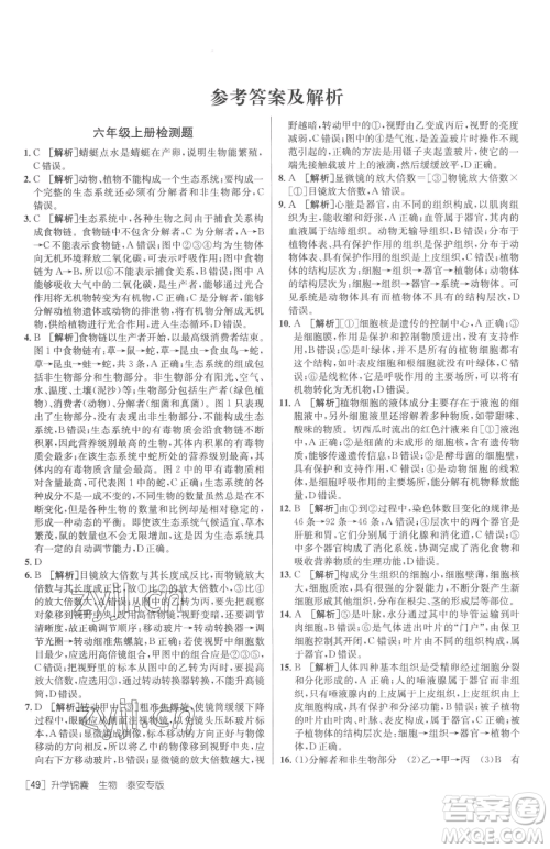 新疆青少年出版社2023升学锦囊九年级全一册生物泰安专版参考答案