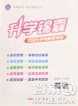 新疆青少年出版社2023升学锦囊九年级全一册英语泰安专版参考答案
