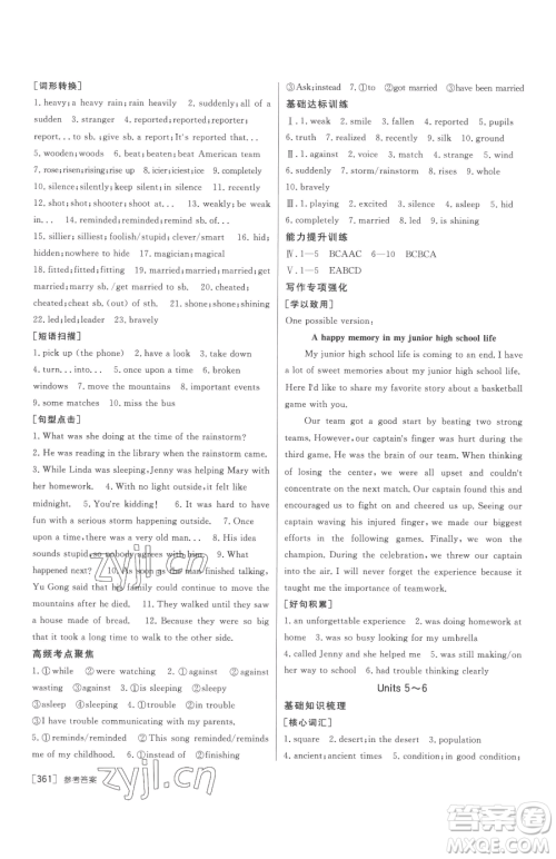新疆青少年出版社2023升学锦囊九年级全一册英语泰安专版参考答案
