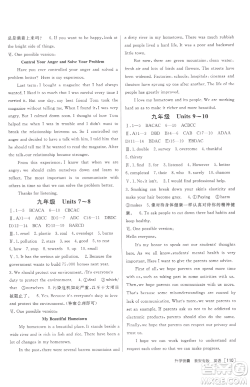新疆青少年出版社2023升学锦囊九年级全一册英语泰安专版参考答案