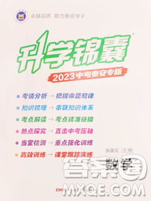 新疆青少年出版社2023升学锦囊九年级全一册数学泰安专版参考答案
