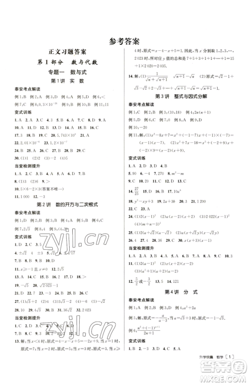 新疆青少年出版社2023升学锦囊九年级全一册数学泰安专版参考答案