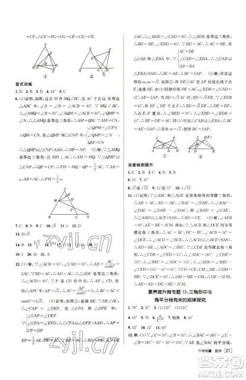 新疆青少年出版社2023升学锦囊九年级全一册数学泰安专版参考答案
