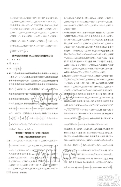 新疆青少年出版社2023升学锦囊九年级全一册数学泰安专版参考答案