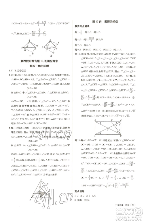 新疆青少年出版社2023升学锦囊九年级全一册数学泰安专版参考答案
