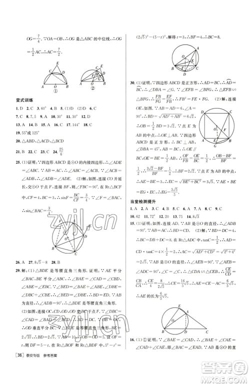 新疆青少年出版社2023升学锦囊九年级全一册数学泰安专版参考答案