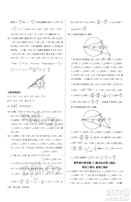 新疆青少年出版社2023升学锦囊九年级全一册数学泰安专版参考答案