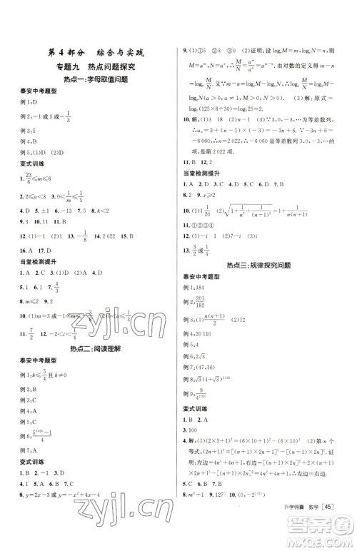 新疆青少年出版社2023升学锦囊九年级全一册数学泰安专版参考答案