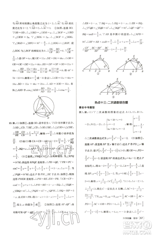 新疆青少年出版社2023升学锦囊九年级全一册数学泰安专版参考答案