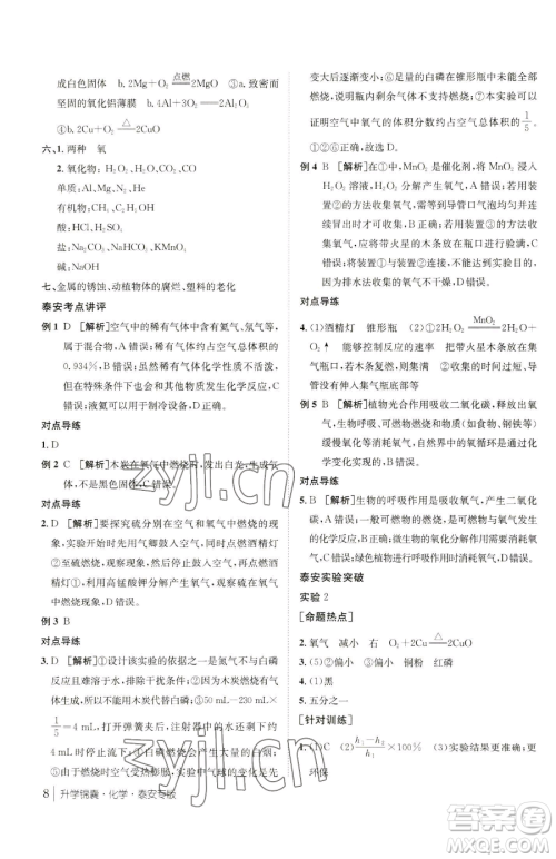 新疆青少年出版社2023升学锦囊九年级全一册化学泰安专版参考答案