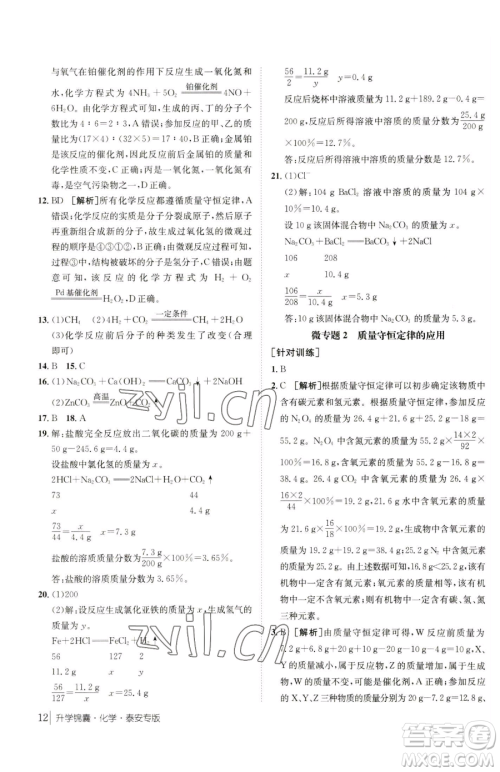 新疆青少年出版社2023升学锦囊九年级全一册化学泰安专版参考答案