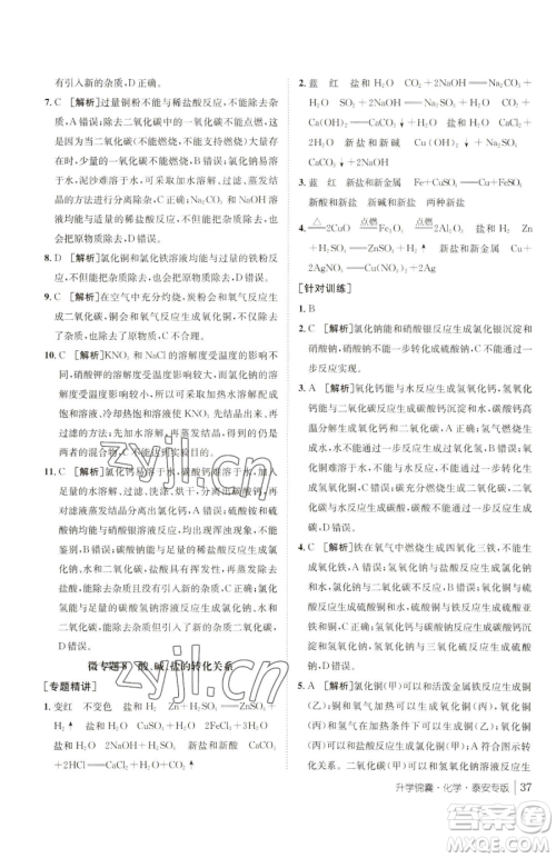新疆青少年出版社2023升学锦囊九年级全一册化学泰安专版参考答案 新疆青少年出版社2023升学锦囊九年级全一册化学泰安专版参考答案