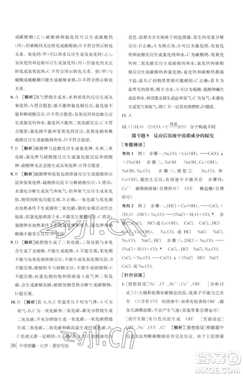 新疆青少年出版社2023升学锦囊九年级全一册化学泰安专版参考答案